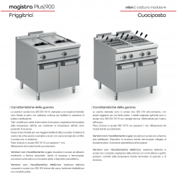 FRIGGITRICE PROFESSIONALE A GAS LT.18 SU MOBILE P.90